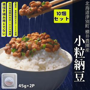 無農薬無肥料 小粒納豆 45g×2 10個セット｜北海道産 間作大豆 在来種 横井農園 津別町産 不耕起栽培 天日乾燥 羊蹄食品 発酵食品 菌活 高タンパク 無添加 国産