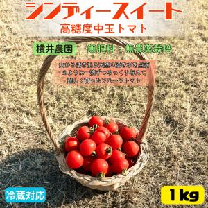 自然農法栽培 フルーツトマト 横井農園 1kg｜北海道産 シンディースイート 完全無肥料栽培 高糖度 中玉トマト 皮ごと カプレーゼ スムージー ギフト 無添加 国産