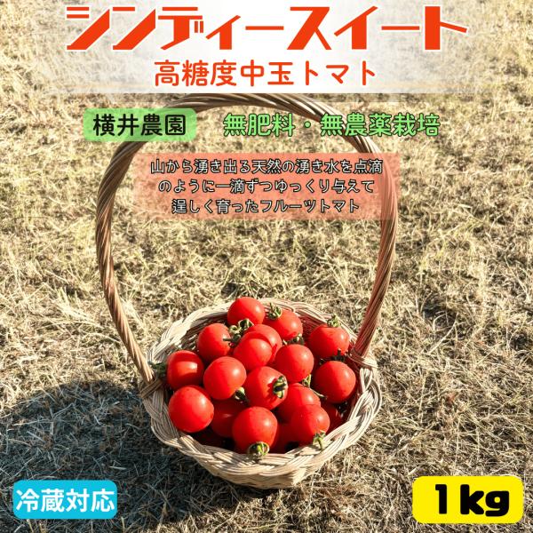 自然農法栽培 フルーツトマト 横井農園 1kg｜北海道産 シンディースイート 完全無肥料栽培 高糖度...