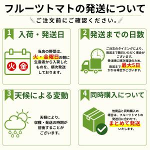 自然農法栽培 フルーツトマト 横井農園 1kg...の詳細画像2