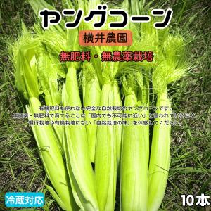 自然農法栽培 皮付き生ヤングコーン 10本｜北海道産 ベビーコーン ひげ付き 栽培期間中農薬・肥料不使用 冷蔵便 産直 旬 夏野菜 BBQ 天ぷら 予約