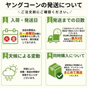 自然農法栽培 皮付き生ヤングコーン 10本|北...の詳細画像2