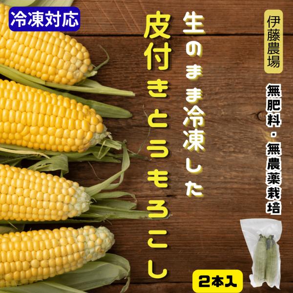 生のまま冷凍した皮付きとうもろこし【伊藤農場】 2本入