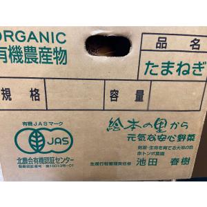 北海道産　有機玉ねぎ 1kg｜fukinoto