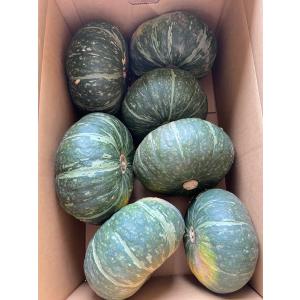 哲義さんのかぼちゃ1玉 2.0kg前後（10kg5玉規格）