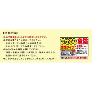 業務用スカッと尿石取りジェル 80g トイレ便...の詳細画像2