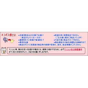 お風呂追い焚き配管の雑菌洗浄剤 1回分 風呂釜...の詳細画像1