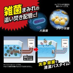 お風呂追い焚き配管の雑菌洗浄剤 1回分 風呂釜...の詳細画像4
