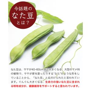 なた豆茶 国産 赤なたまめ茶 3g × 100...の詳細画像3