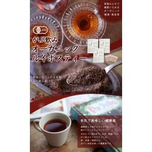 ルイボスティー オーガニック オーガニックルイ...の詳細画像3