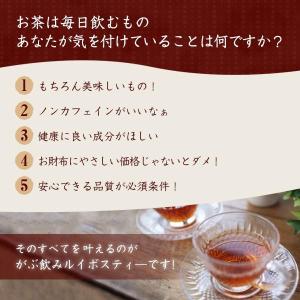 ルイボスティー オーガニック オーガニックルイ...の詳細画像4