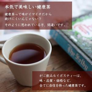 ルイボスティー オーガニック 2g×100包 ...の詳細画像3