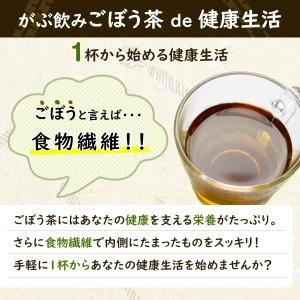 ごぼう茶 ゴボウ茶 牛蒡茶 国産 茶 健康茶 ...の詳細画像2