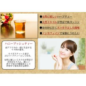 ハニーブッシュティー 2g × 50包 100...の詳細画像3