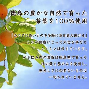 柿の葉茶 かきの葉茶 ノンカフェイン 茶 健康...の詳細画像5