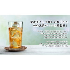 柿の葉茶 かきの葉茶 ノンカフェイン 茶 健康...の詳細画像2