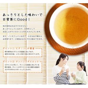 柿の葉茶 かきの葉茶 ノンカフェイン 茶 健康...の詳細画像3