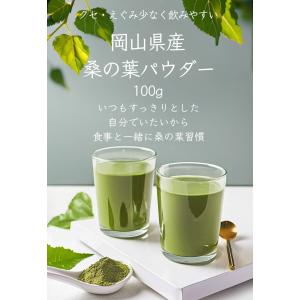 桑の葉茶 粉末 100g 桑茶 桑の葉パウダー...の詳細画像1