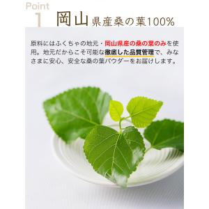 桑の葉茶 粉末 100g 桑茶 桑の葉パウダー...の詳細画像4