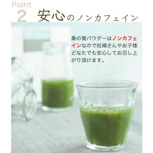 桑の葉茶 粉末 100g 桑茶 桑の葉パウダー...の詳細画像5