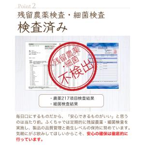 松葉茶 国産 ティーバッグ 3g × 30包 ...の詳細画像5