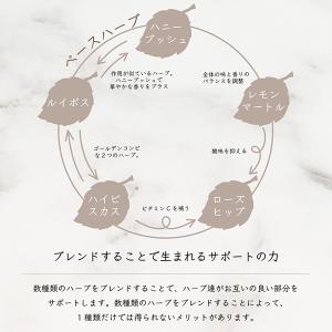 紅茶 ギフト ノンカフェイン 女神のハーブティ...の詳細画像4