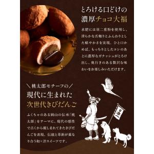 ギフト 訳あり モチリッシュ ドバイチョコ餅 ...の詳細画像2