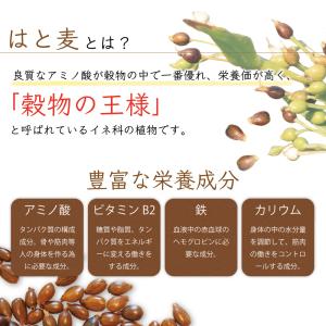 ハトムギ茶 国産 2.5g×100包 250g...の詳細画像2