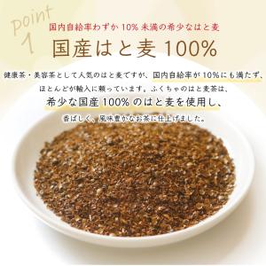 ハトムギ茶 はと麦茶 国産 6g × 45包 ...の詳細画像4
