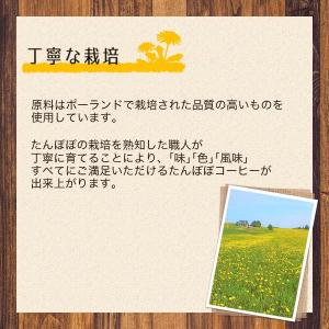 たんぽぽコーヒー 2g × 30包 60g た...の詳細画像5