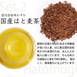 紅茶 ギフト お茶 お試し セット 送料無料 ...の詳細画像4