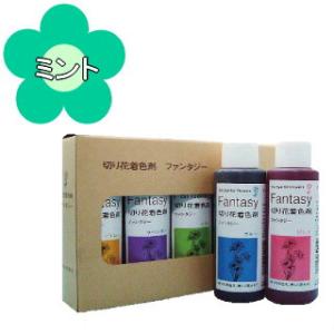 切り花着色剤 ファンタジー 100ml ミント : ふくちゃんの花雑貨 - 通販