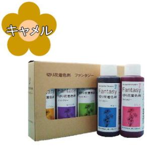 切り花着色剤　ファンタジー　100ml　キャメル（ユーロスタイル）
