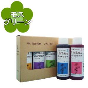 切り花着色剤　ファンタジー　100ml　モスグリーン（ユーロスタイル）
