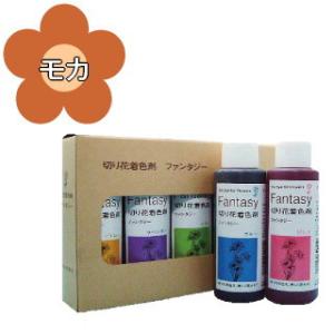 切り花着色剤　ファンタジー　100ml　モカ（ユーロスタイル）