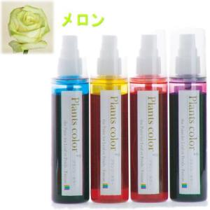プランツカラー（切り花用着色剤）　メロン　85ml