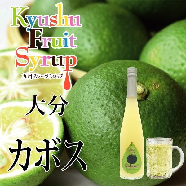 シロップ 割り材 かぼす 希釈タイプ 500ml お酒 ジュース 炭酸 九州果実シロップ 福田農場