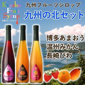 シロップ 割り材 3本セット 500ml 希釈タイプ 送料無料 博多あまおう びわ 温州みかん 北セット 九州果実シロップ 福田農場