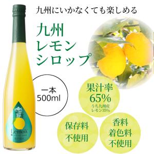 シロップ 割材 レモン 500ml お酒 炭酸...の詳細画像1