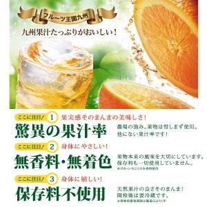 シロップ 割材 レモン 500ml お酒 炭酸...の詳細画像4