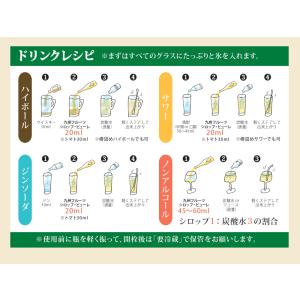 シロップ 割材 レモン 500ml お酒 炭酸...の詳細画像5