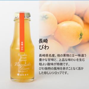 ギフト シロップ 割り材 かき氷 70ml ミ...の詳細画像3