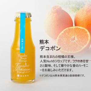 ギフト シロップ 割り材 かき氷 70ml ミ...の詳細画像4