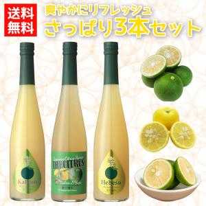 シロップ 割り材 3本セット 希釈タイプ 500ml 送料無料 甘夏 日向夏 晩
