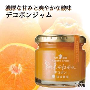 ジャム デコポン 九州果実ジャム 120g 福田農場 熊本