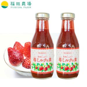 果肉たっぷり いちごミルクの素 2本セット 牛乳と混ぜるだけ デザート イチゴ 390g