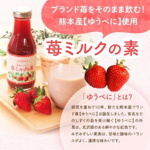いちごミルクの素 390g 国産 フルーツジュ...の詳細画像1