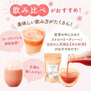 いちごミルクの素 390g 国産 フルーツジュ...の詳細画像3