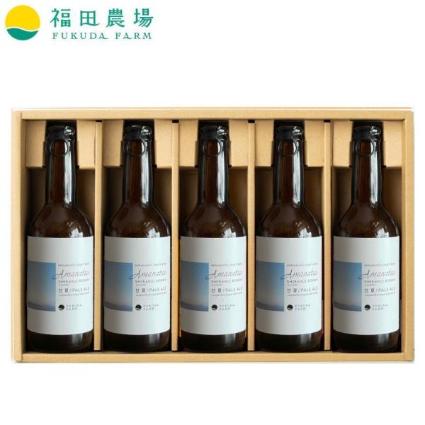 ギフト 2025 甘夏ペールエール 330ml 5本セット 不知火浪漫麦酒 クラフトビール 3015...