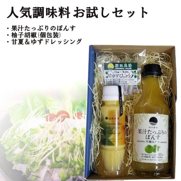 お歳暮 ギフト 2025 調味料お試し3点セット 早摘みデコぽんす 甘夏＆ゆずドレッシング ゆずこし...